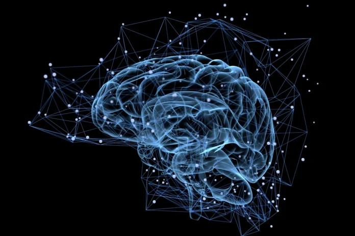 99.6% de precisión IA rastrea neuronas Herramientas de inteligencia artificial del MIT rastreando neuronas en cerebro en movimiento