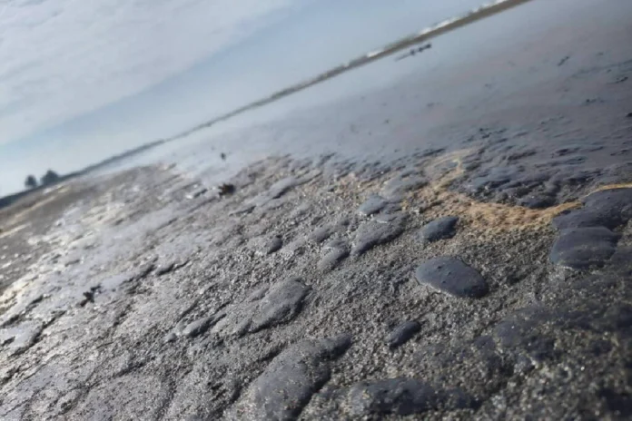 Manchas de chapopote en playas del sur de Veracruz tras derrame de hidrocarburo