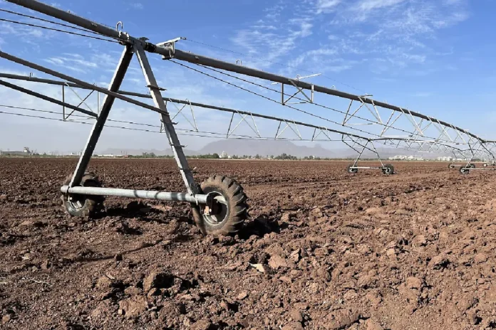 Guaymas pierde 2 mil empleos por crisis en el campo