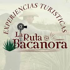 ruta del bacanora