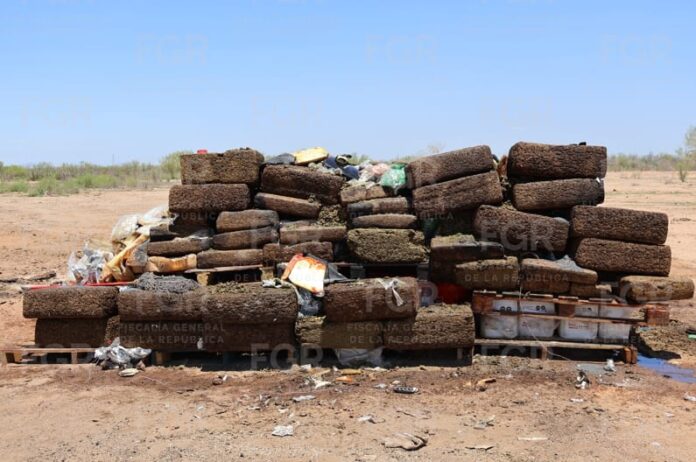 Incineración de más de una tonelada de narcóticos en Hermosillo