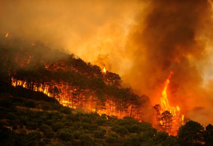 Incendios forestales en Madrid y Ávila provocan emergencia nacional en España Incendios forestales en Madrid y Ávila provocan emergencia nacional en España