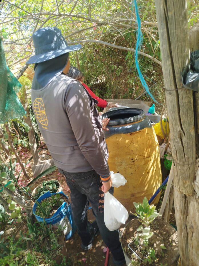 salud dengue