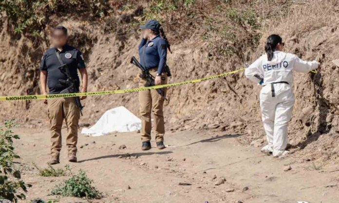 Claudia Sheinbaum reporta reducción de homicidios en México durante julio de 2026