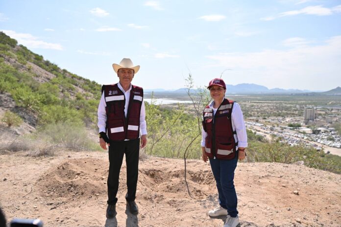 Alfonso Durazo participa en jornada de reforestación en Cerro de la Cementera en Hermosillo