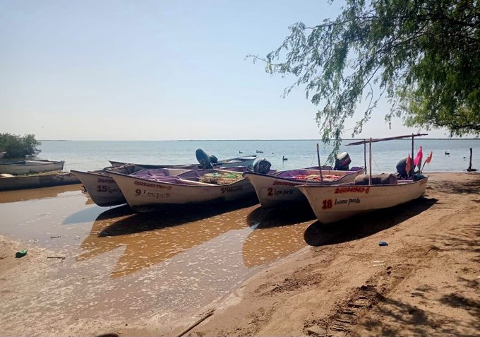 Pescadores de Yavaros retiran embarcaciones ante huracán Polo Pescadores de Yavaros retiran embarcaciones ante huracán Polo