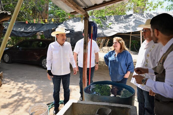 Sonora refuerza acciones de prevención contra el dengue