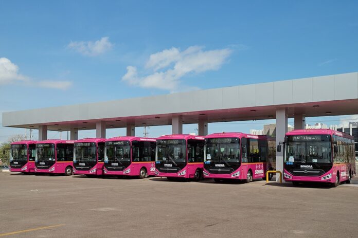 Transporte público en Sonora llega a 768 unidades durante gobierno de Durazo