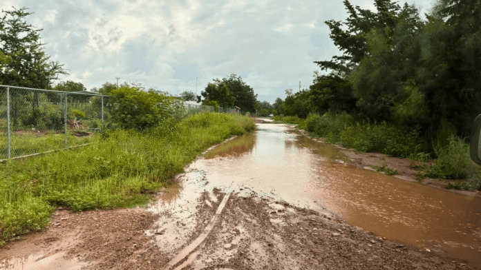 Lluvias y crecientes provocan suspensión de clases en Navojoa