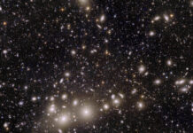 Euclid descubre un cometa desconocido a 1,300 millones de kilómetros Euclid descubre un cometa desconocido a 1,300 millones de kilómetros