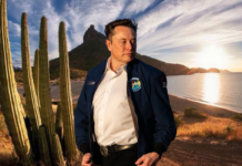 Elon Musk en Sonora: el magnate estaría interesado en extraer tierras raras del estado; revelan presencia de su equipo
