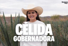 Célida gobernadora