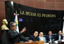 Higinio Martínez afirma que Morena puede competir sin el PT y el PVEM Higinio Martínez sostuvo que Morena puede competir con candidaturas propias donde no alcance acuerdos con sus aliados.